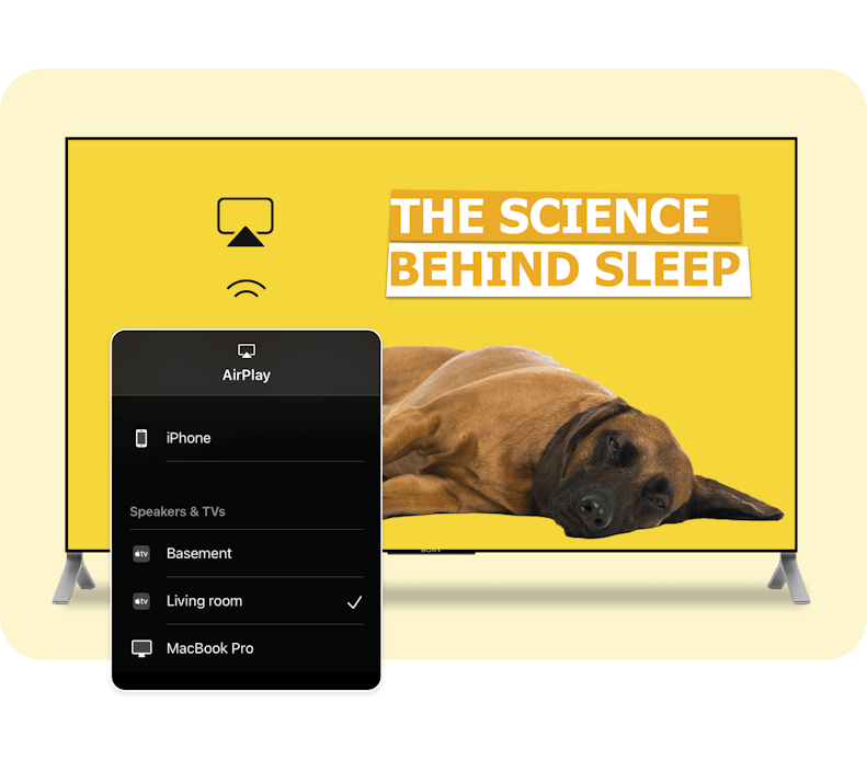 An image showcasing the ability to chrome cast and air play content from a phone to a tv device. The content displays a sleeping dog with the caption, 'The Science Behind Sleep'.